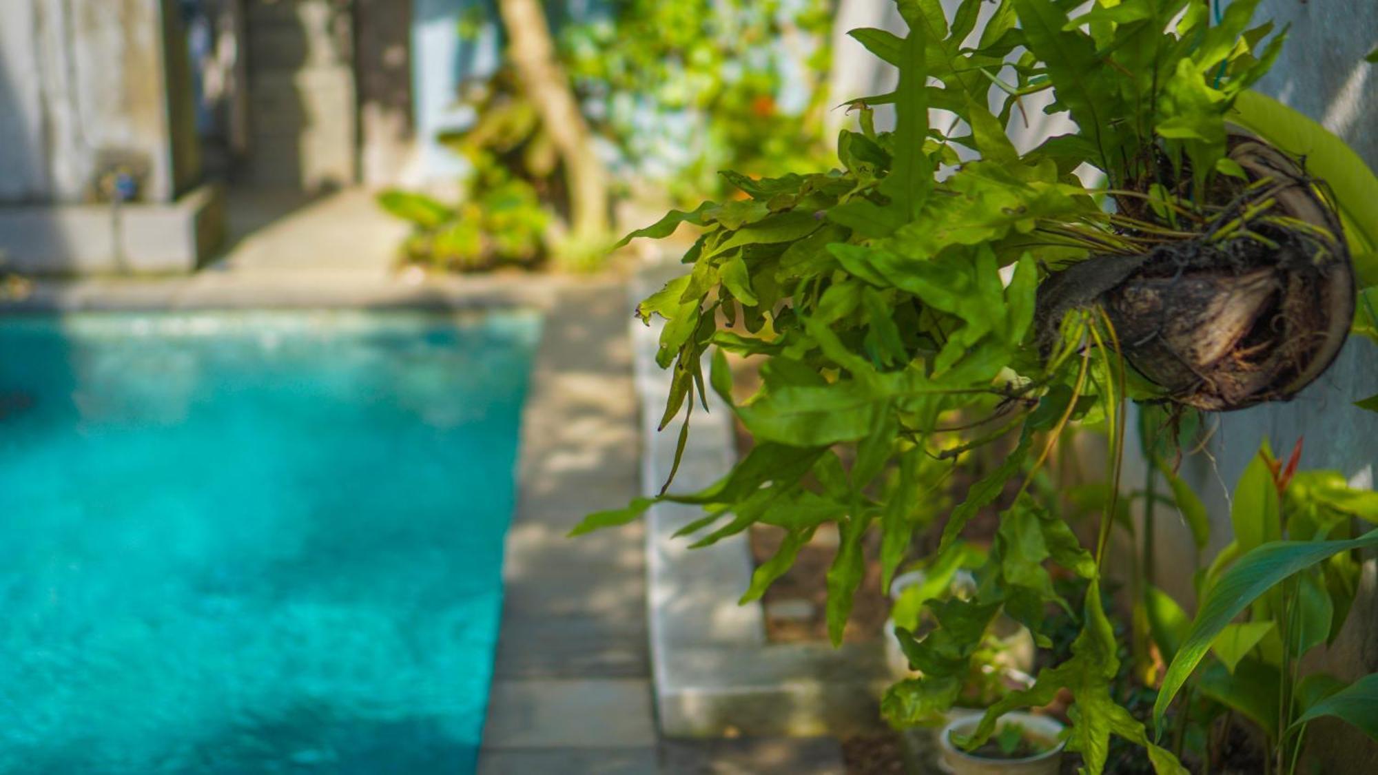 Dirga'S House Sanur View By Eps酒店 外观 照片